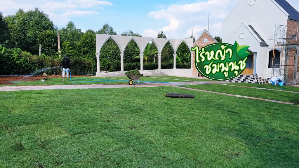 ร้านขายหญ้าจันทบุรี