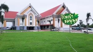 หญ้านวลน้อยราชบุรี