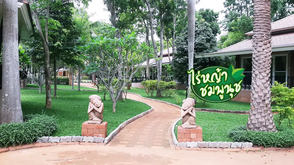 ร้านขายหญ้าปากช่อง