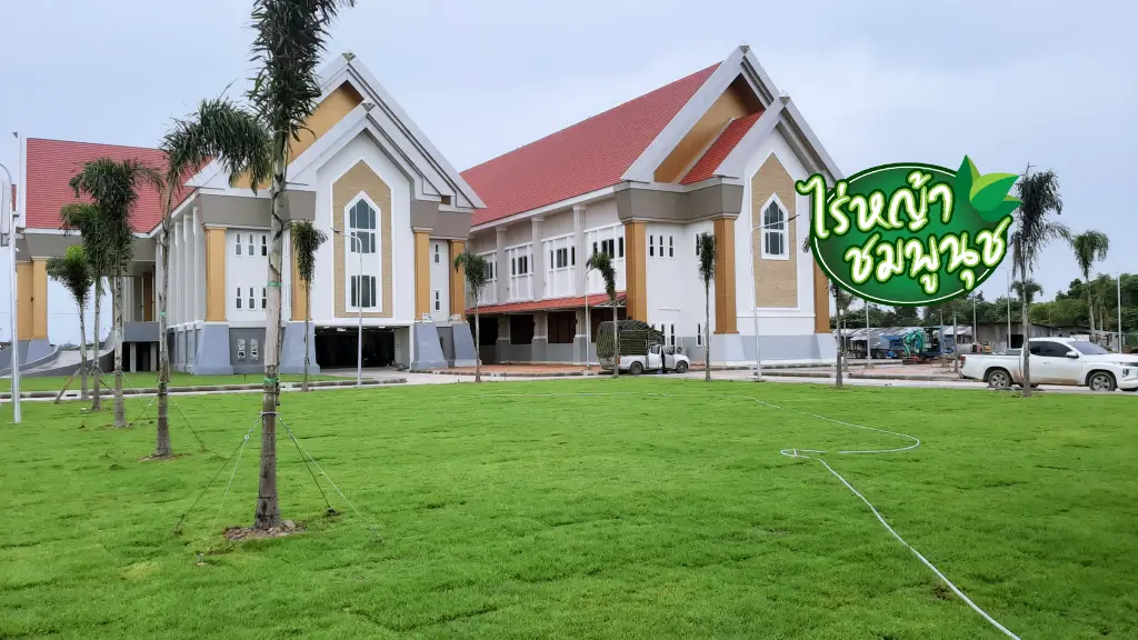 ร้านขายหญ้าราชบุรี