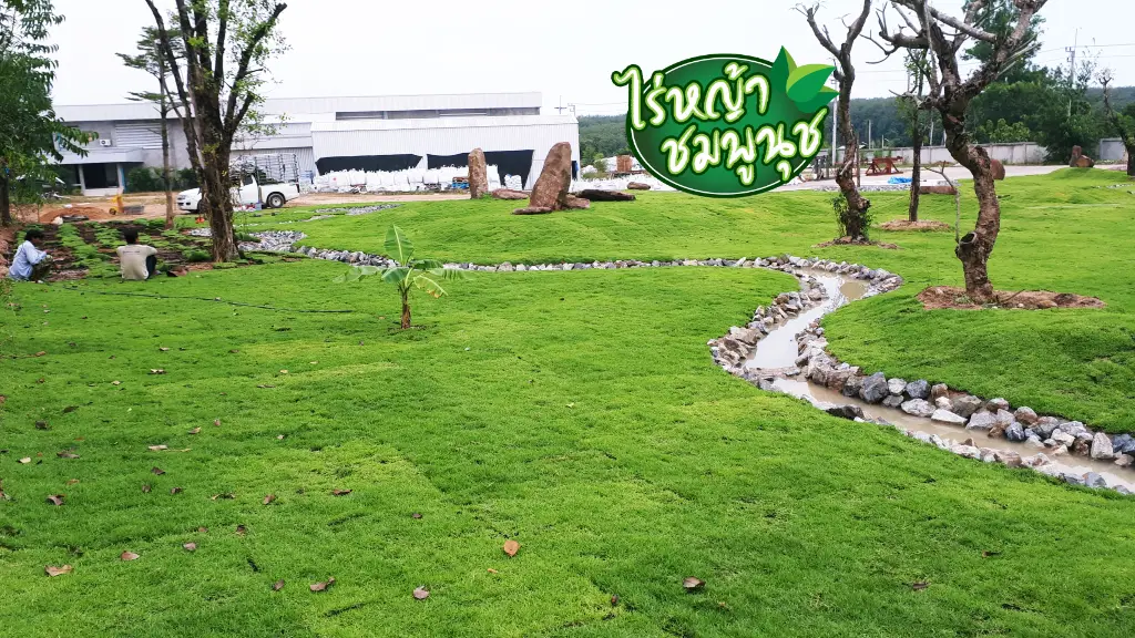 ไร่หญ้าระยอง