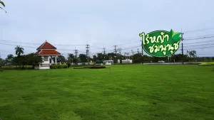 ร้านขายหญ้า สระแก้ว
