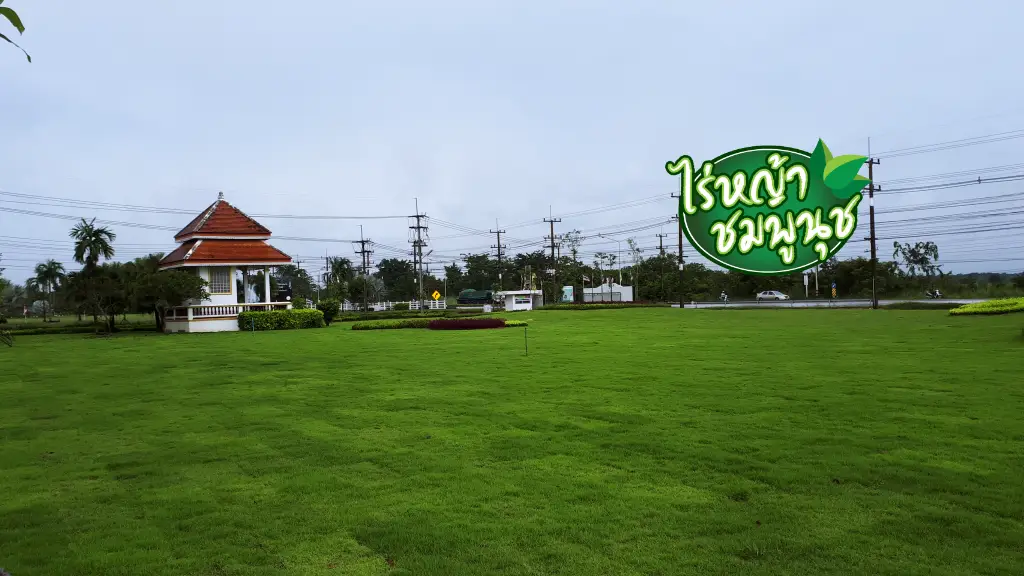 ร้านขายหญ้า สระแก้ว