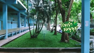 หญ้ามาเลย์ลพบุรี