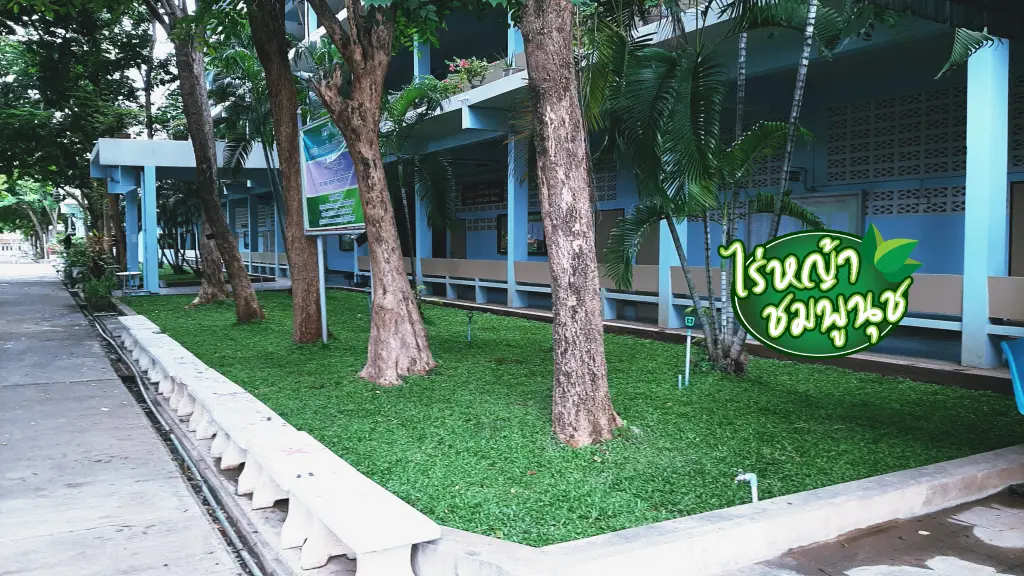 ไร่หญ้ามาเลย์ลพบุรี