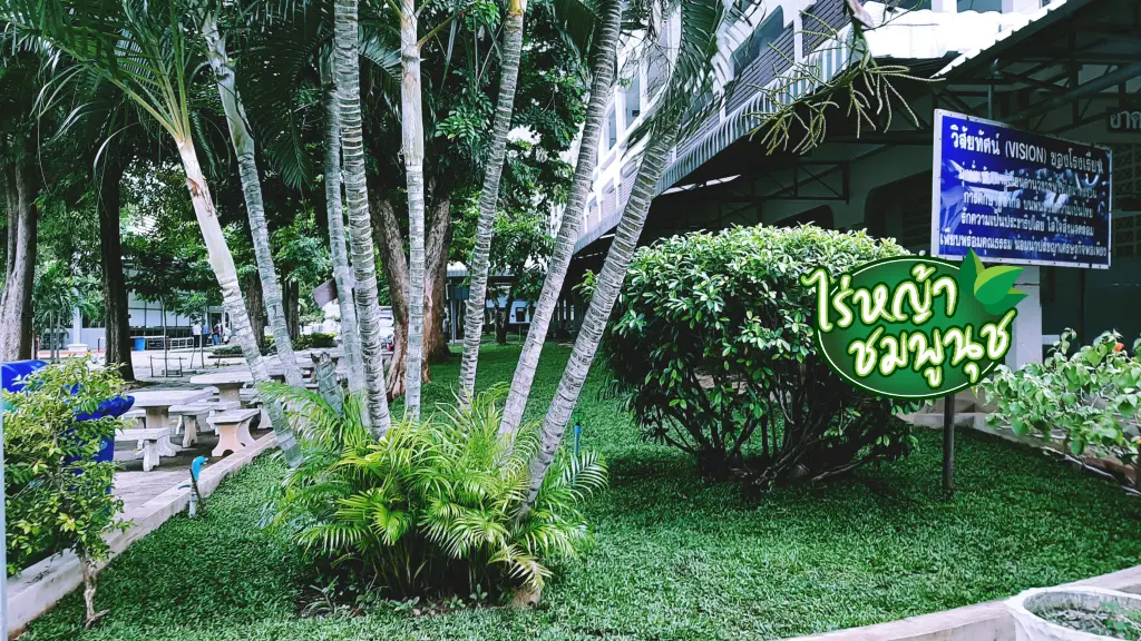 ร้านขายหญ้าลพบุรี