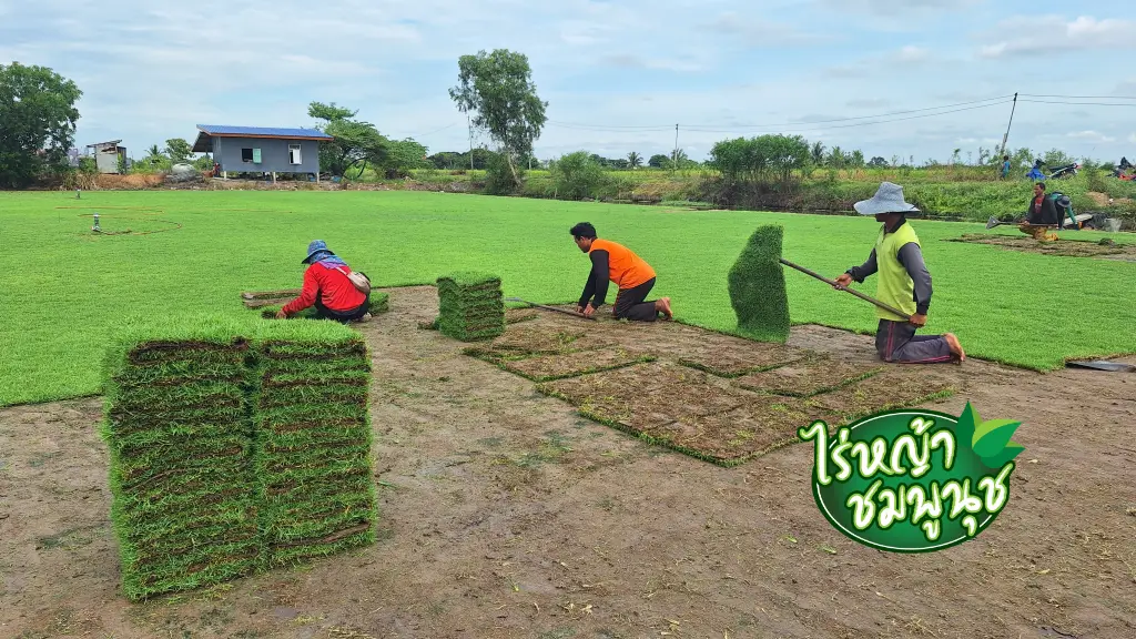 ไร่หญ้า นครนายก