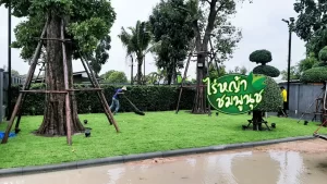 หญ้านวลน้อยปราจีนบุรี