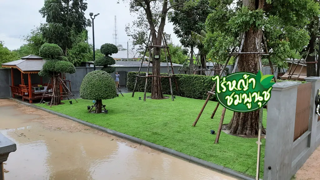 ร้านขายหญ้าปราจีนบุรี