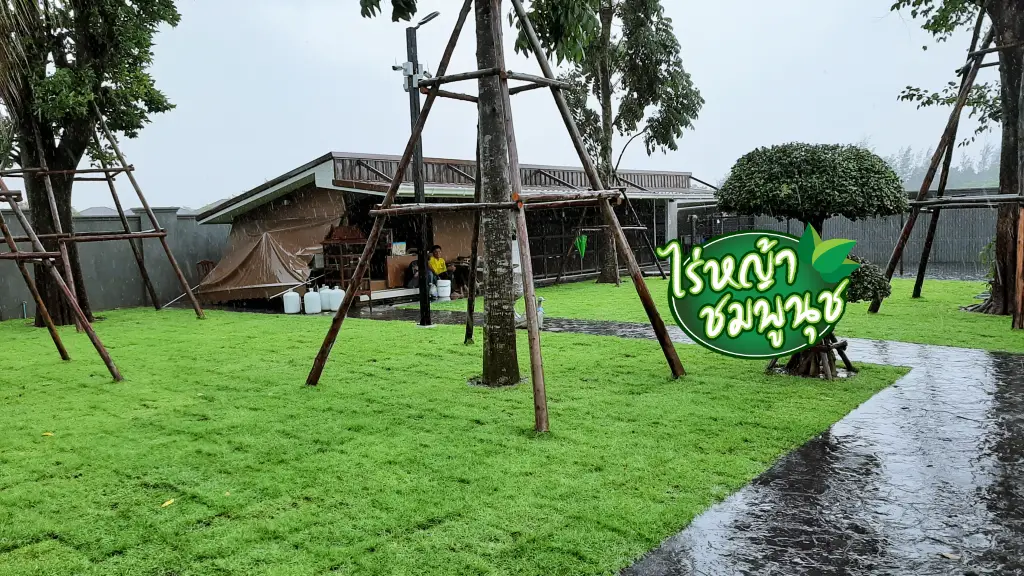 ปลูกหญ้าปราจีนบุรี