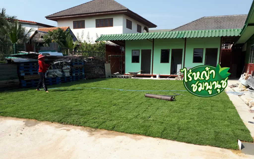 ร้านขายหญ้าสมุทรสาคร