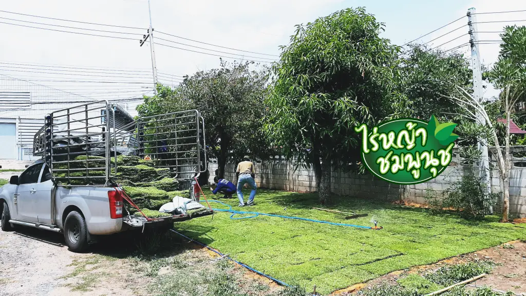 ร้านขายหญ้าอ่างทอง