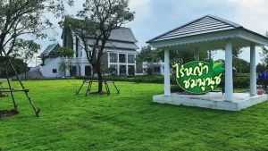 หญ้านวลน้อยสมุทรปราการ