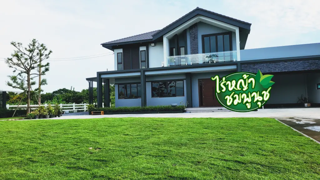 หญ้านวลน้อยสิงห์บุรี