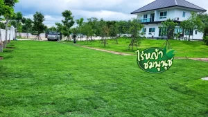 รับปูหญ้าบุรีรัมย์