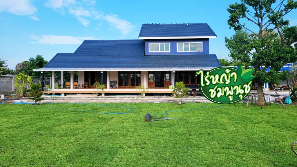 ขายหญ้า ชัยนาท