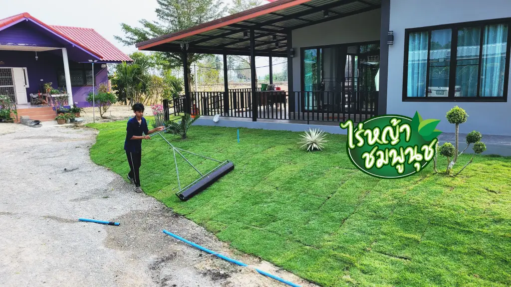 ร้านขายหญ้า ชุมพร