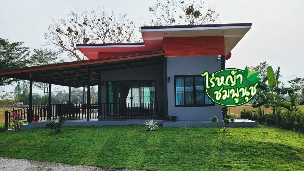 ปลูกหญ้าชุมพร