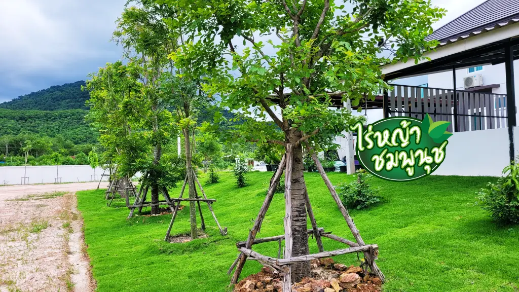 ร้านขายหญ้าขอนแก่น