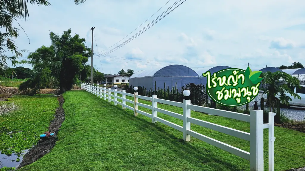 ไร่หญ้า มหาสารคาม