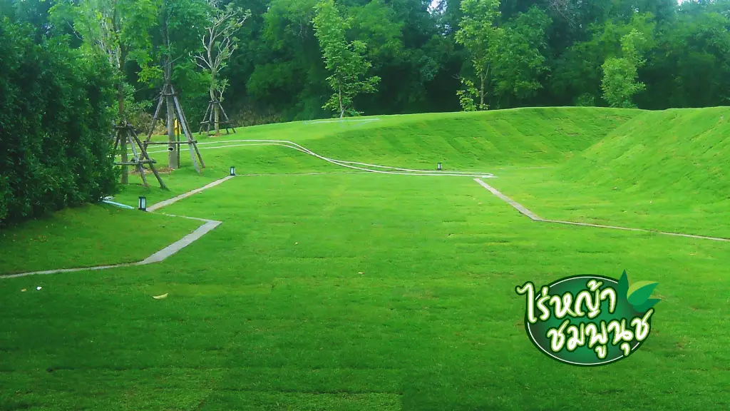 ร้านขายหญ้าสุรินทร์