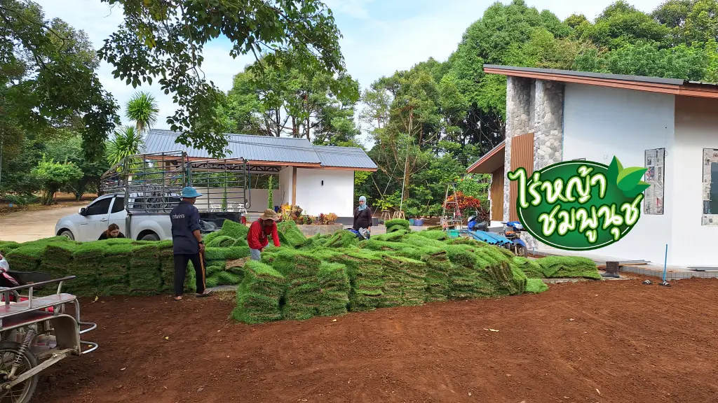 ไร่หญ้า กระบี่