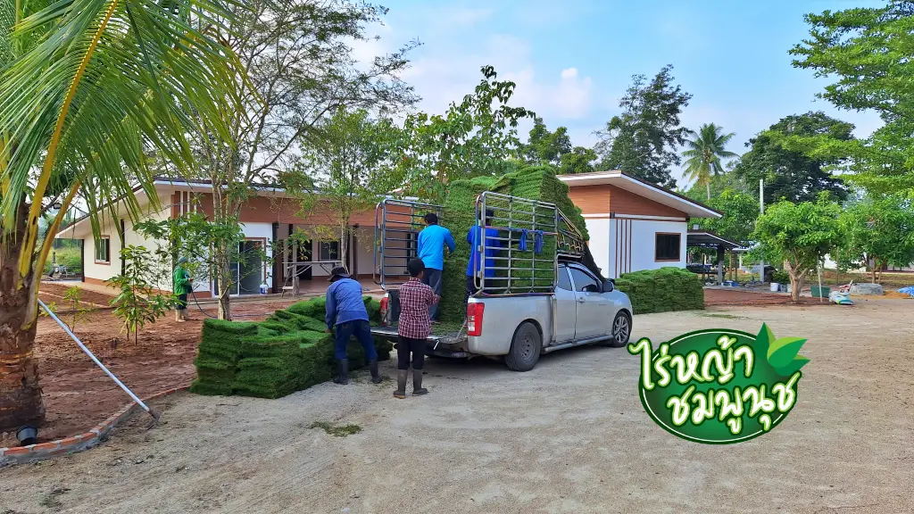 ไร่หญ้า สุราษฎร์ธานี